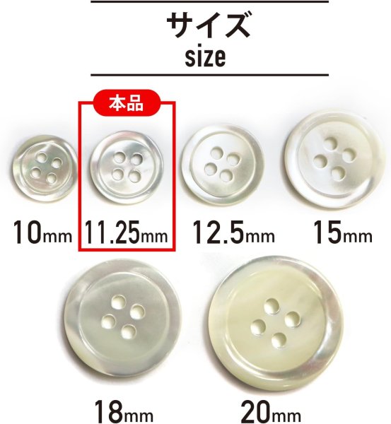 画像3: シェルボタン 貝製 片面 高瀬貝 シャツ 四つ穴 白 ホワイト 12個入り【11.25mm】きらきらぷんぷん丸 B-093 (3)