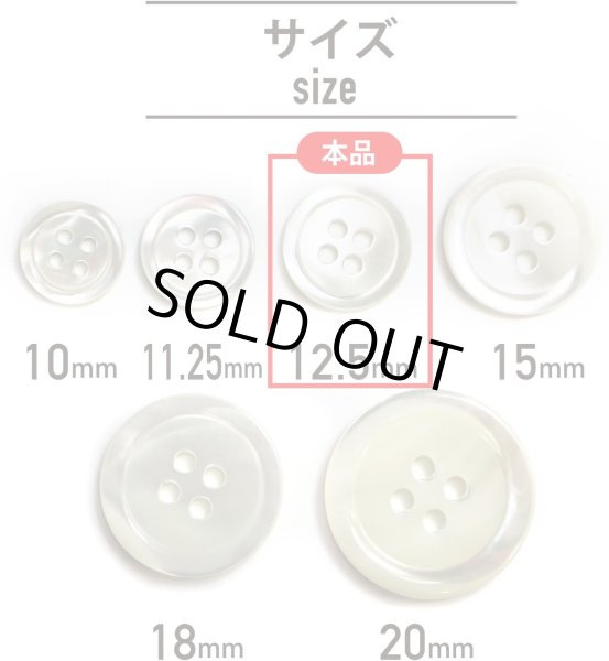 画像3: シェルボタン 貝製 片面 高瀬貝 シャツ 四つ穴 白 ホワイト 8個入り【12.5mm】きらきらぷんぷん丸 B-094 (3)