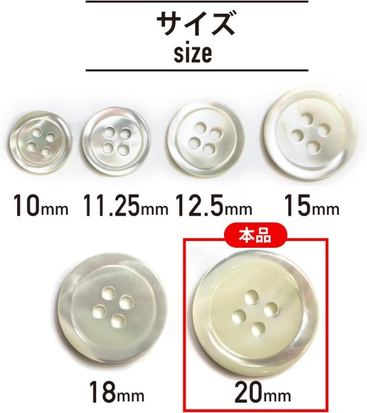 画像3: シェルボタン 貝製 片面 高瀬貝 シャツ 四つ穴 白 ホワイト 5個入り【20mm】きらきらぷんぷん丸 B-097 (3)