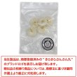 画像7: ナットボタン 足つきボタン 【ホワイト】 白 メタル ゴールド 足つき ウッド ボタン 飾りボタン 5個入り 【15mm】 きらきらぷんぷん丸 B-1050 (7)