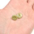 画像5: ナットボタン 足つきボタン 【ペールグリーン】 緑 メタル ゴールド 足つき ウッド ボタン 飾りボタン 5個入り 【11.5mm】 きらきらぷんぷん丸 B-1058 (5)