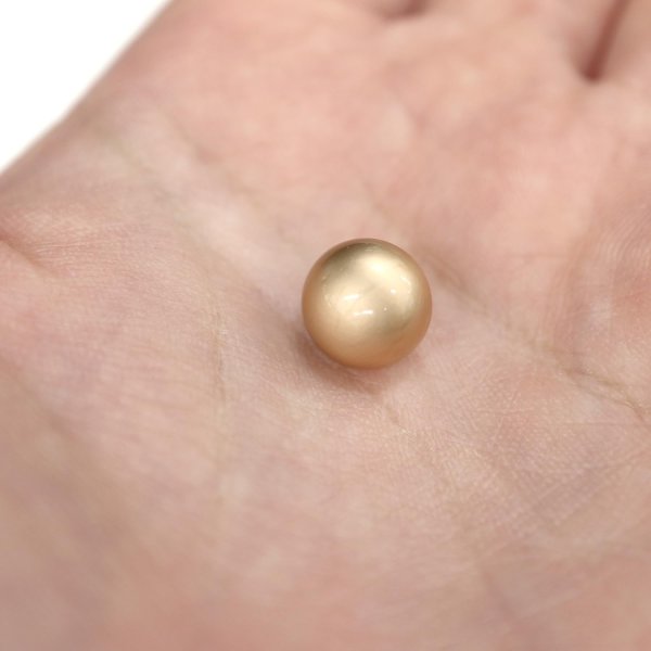 画像7: メタルボタン 【ゴールド】 金 ビジュー ブロンズ風 ドーム型 飾り 縫製 袖口 20個入り 【10mm】 きらきらぷんぷん丸 B-105 (7)