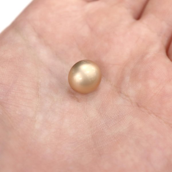 画像7: メタルボタン 【ゴールド】 金 ビジュー ブロンズ風 ドーム型 飾り 縫製 袖口 20個入り 【11.5mm】 きらきらぷんぷん丸 B-106 (7)