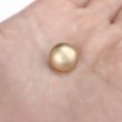 画像7: メタルボタン 【ゴールド】 金 ビジュー ブロンズ風 ドーム型 飾り 縫製 袖口 15個入り 【12.5mm】 きらきらぷんぷん丸 B-107 (7)