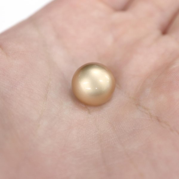 画像7: メタルボタン 【ゴールド】 金 ビジュー ブロンズ風 ドーム型 飾り 縫製 袖口 15個入り 【12.5mm】 きらきらぷんぷん丸 B-107 (7)