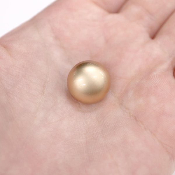 画像7: メタルボタン 【ゴールド】 金 ビジュー ブロンズ風 ドーム型 飾り 縫製 袖口 15個入り 【15mm】 きらきらぷんぷん丸 B-108 (7)