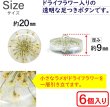 画像2: 足つきボタン ドライフラワー【アイボリー】6個入り 白 花【20mm】手芸 樹脂製 可愛い おしゃれ きらきらぷんぷん丸 B-1199 (2)