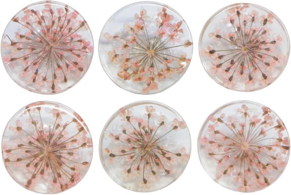 画像1: 足つきボタン ドライフラワー【ピンク】6個入り 花【20mm】手芸 樹脂製 可愛い おしゃれ きらきらぷんぷん丸 B-1200 (1)