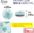 画像2: 足つきボタン ドライフラワー【グリーン】6個入り 緑 花【20mm】手芸 樹脂製 可愛い おしゃれ きらきらぷんぷん丸 B-1201 (2)