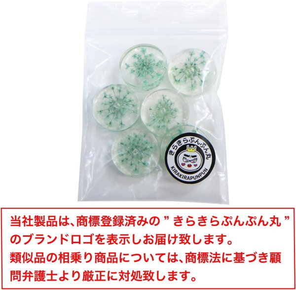 画像7: 足つきボタン ドライフラワー【グリーン】6個入り 緑 花【20mm】手芸 樹脂製 可愛い おしゃれ きらきらぷんぷん丸 B-1201 (7)
