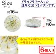 画像2: 足つきボタン ドライフラワー【アイボリー】6個入り 白 花【16mm】手芸 樹脂製 可愛い おしゃれ きらきらぷんぷん丸 B-1202 (2)