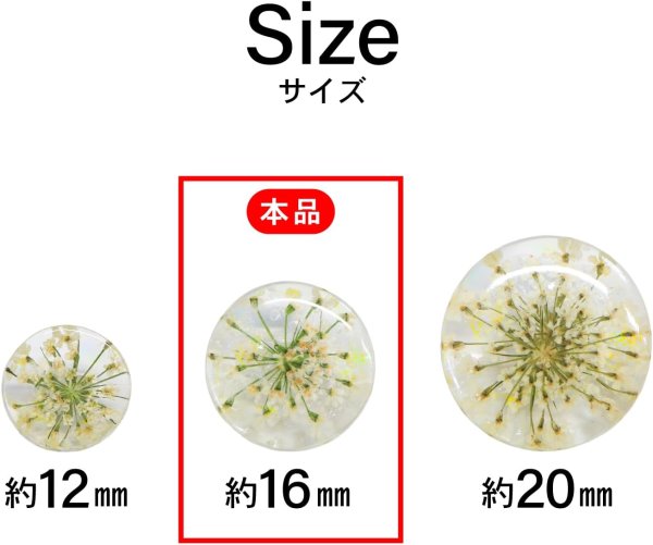 画像3: 足つきボタン ドライフラワー【アイボリー】6個入り 白 花【16mm】手芸 樹脂製 可愛い おしゃれ きらきらぷんぷん丸 B-1202 (3)