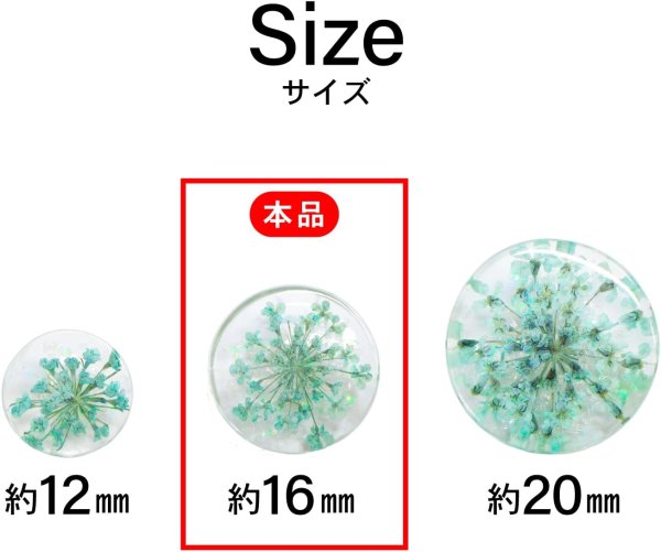 画像3: 足つきボタン ドライフラワー【グリーン】6個入り 緑 花【16mm】手芸 樹脂製 可愛い おしゃれ きらきらぷんぷん丸 B-1204 (3)