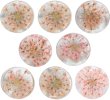 画像1: 足つきボタン ドライフラワー【ピンク】8個入り 花【12mm】手芸 樹脂製 可愛い おしゃれ きらきらぷんぷん丸 B-1206 (1)
