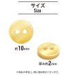 画像2: シェルボタン 【10mm】オレンジ 15個入り 染色 真珠 貝 二つ穴 手芸 装飾 おしゃれ きらきらぷんぷん丸 B-1299 (2)