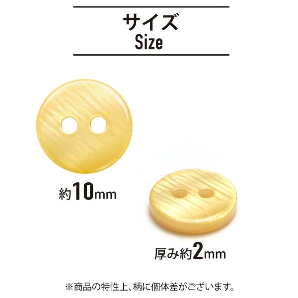 画像2: シェルボタン 【10mm】オレンジ 15個入り 染色 真珠 貝 二つ穴 手芸 装飾 おしゃれ きらきらぷんぷん丸 B-1299 (2)