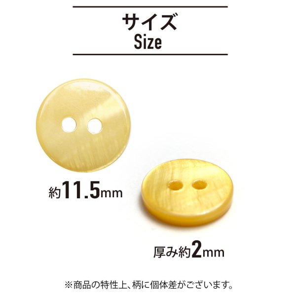 画像2: シェルボタン 【11.5mm】オレンジ 10個入り 染色 真珠 貝 二つ穴 手芸 装飾 おしゃれ きらきらぷんぷん丸 B-1300 (2)