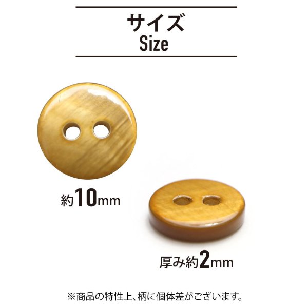 画像2: シェルボタン 【10mm】ブラウン 15個入り 染色 真珠 貝 二つ穴 手芸 装飾 おしゃれ きらきらぷんぷん丸 B-1302 (2)