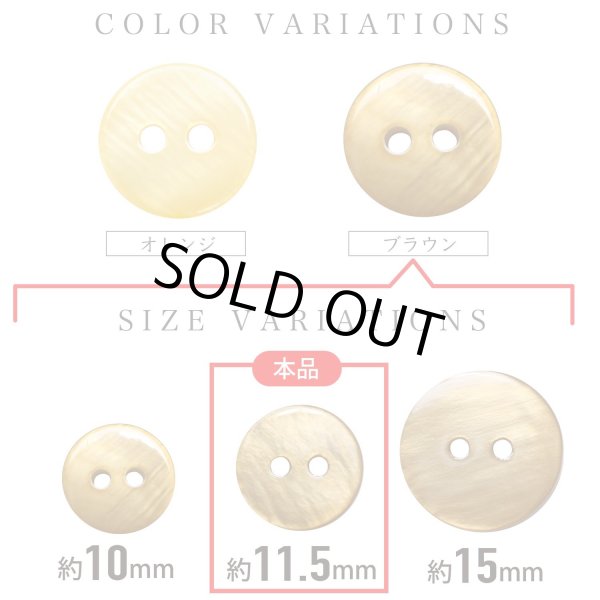 画像3: シェルボタン 【11.5mm】ブラウン 10個入り 染色 真珠 貝 二つ穴 手芸 装飾 おしゃれ きらきらぷんぷん丸 B-1303 (3)