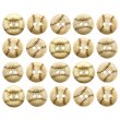 画像1: ココナッツボタン 【野球ボール柄】 12.5mm 20個 二つ穴 装飾 おしゃれ 手芸 洋服 ナチュラル きらきらぷんぷん丸 B-1361 (1)