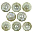 画像1: 二つ穴ボタン フラワー マーブル模様【グリーン】 緑 8個入り 【20mm】 オーロラ 光沢 透け感 花 樹脂製 手芸 おしゃれ きらきらぷんぷん丸 B-1375 (1)