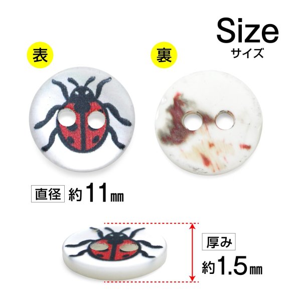 画像2: シェルボタン プリント 【テントウムシ】 11mm 20個入り 二つ穴 生き物 モチーフ 装飾 手芸 洋服 きらきらぷんぷん丸 B-1380 (2)