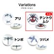 画像3: シェルボタン プリント 【テントウムシ】 11mm 20個入り 二つ穴 生き物 モチーフ 装飾 手芸 洋服 きらきらぷんぷん丸 B-1380 (3)