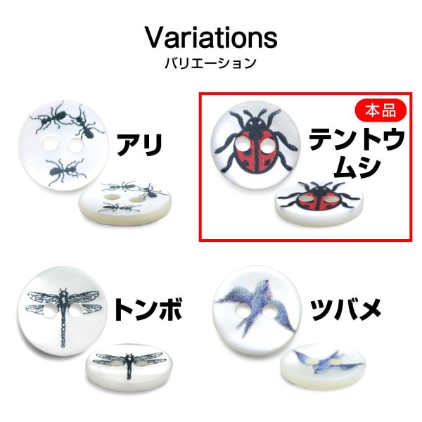 画像3: シェルボタン プリント 【テントウムシ】 11mm 20個入り 二つ穴 生き物 モチーフ 装飾 手芸 洋服 きらきらぷんぷん丸 B-1380 (3)