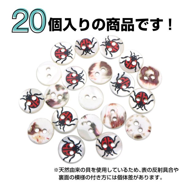 画像4: シェルボタン プリント 【テントウムシ】 11mm 20個入り 二つ穴 生き物 モチーフ 装飾 手芸 洋服 きらきらぷんぷん丸 B-1380 (4)