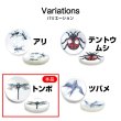 画像3: シェルボタン プリント 【トンボ】 11mm 20個入り 二つ穴 生き物 モチーフ 装飾 手芸 洋服 きらきらぷんぷん丸 B-1381 (3)
