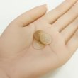 画像5: 4つ穴 クリアマットボタン【ベージュ】丸ボタン 樹脂 手芸 10個入 グラデーション【15mm】きらきらぷんぷん丸 B-1424 (5)