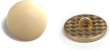 画像1: メタルボタン フラット 【ゴールド ツヤなし】 金 ビジュー 飾り 縫製 袖口 10個入り 【18mm】 きらきらぷんぷん丸 B-147 (1)