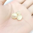画像5: 丸玉ボタン 【ベージュ】 10mm 30個入り 裏穴 飾り 樹脂 装飾 手芸 ハンドメイド きらきらぷんぷん丸 B-1491 (5)
