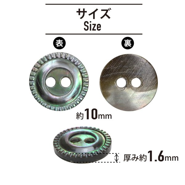 画像2: シェルボタン 黒蝶貝 縁模様入り 二つ穴 【10mm】 15個入り 手芸 ハンドメイド きらきらぷんぷん丸 B-1494 (2)