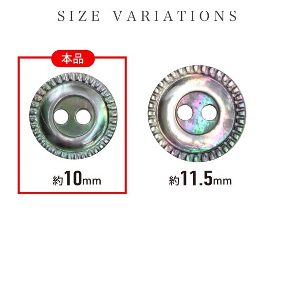 画像3: シェルボタン 黒蝶貝 縁模様入り 二つ穴 【10mm】 15個入り 手芸 ハンドメイド きらきらぷんぷん丸 B-1494 (3)