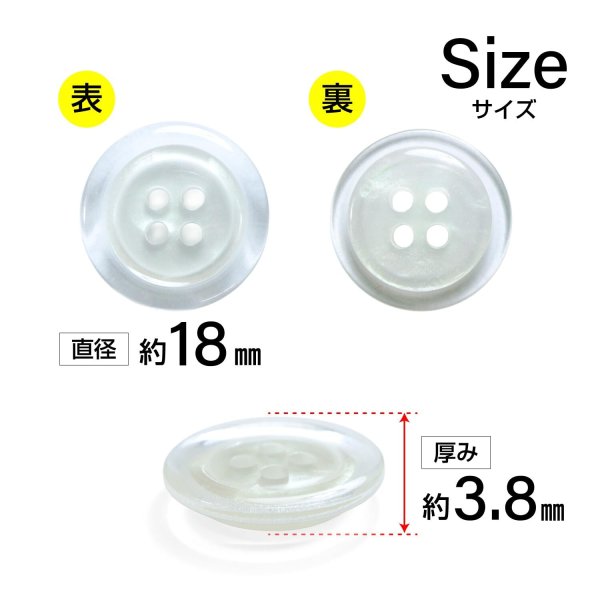 画像2: 樹脂ボタン シェル調【ホワイト】18mm 8個入 丸型 四つ穴 クリアリム 手芸 服飾 付け替え きらきらぷんぷん丸 B-1800 (2)