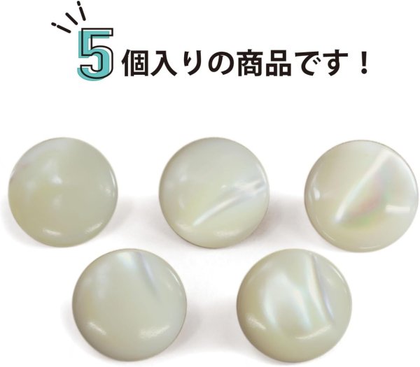 画像5: 高瀬貝 フラット ボタン 【ホワイト】 白 シェルボタン 貝ボタン 貝製 5個入り 【10mm】 きらきらぷんぷん丸 B-756 (5)