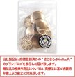 画像2: メタルボタン フラット 【ゴールド 鏡面仕上げ】 金 ビジュー 飾り 縫製 袖口 8個入り 【23mm】 きらきらぷんぷん丸 B-774 (2)