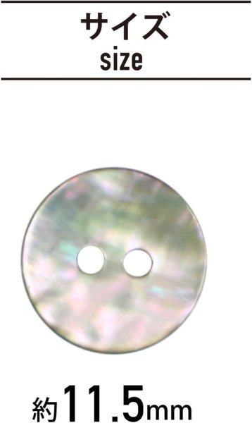 画像3: アワビ貝 二つ穴ボタン シェルボタン 貝ボタン 貝製 片面 白 ホワイト ボタン 12個入り 【11.5mm】 きらきらぷんぷん丸 B-888 (3)