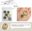 画像3: デコパーツ ビジュー パール【グリーン】緑 5個入り 光沢 ジュエリー【25mm】ハンドメイド DIY 手芸 おしゃれ 可愛い きらきらぷんぷん丸 BJU-019 (3)