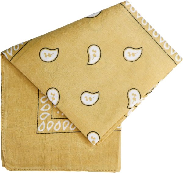 画像1: バンダナ 大判 ペイズリー 柄 約54x54cm 【ベージュ】 ポリエステル ハンカチ 三角巾 お弁当包み スカーフ BND-010 (1)