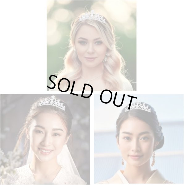 画像4: ティアラ 大人 結婚式 ウェディング 卒業式 誕生日 パーティー コスプレ ヘアアクセサリー カチューシャ ベロア ラインストーン きらきらぷんぷん丸 COS-029 (4)