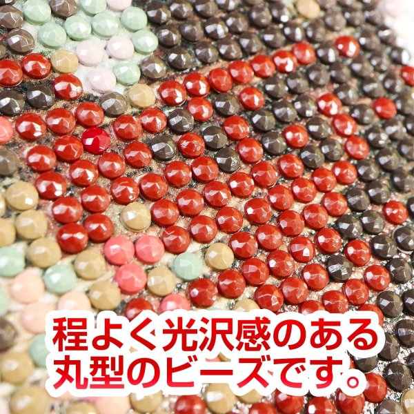 画像5: ビーズアート キット 丸いビーズ 【花と果物】 20x30cm モザイクアート ダイヤモンドペインティング ダイヤモンドフィックス 全面貼り付け 5D 初心者 セット きらきらぷんぷん丸 DAK-HLW (5)