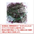 画像6: フェイクグリーン 造花 観葉植物 約80cm 【パープル&グリーン】 紫 緑 インテリア 雑貨 人工 水やり不要 ハンギング 吊り下げ きらきらぷんぷん丸 GRDN-009 (6)
