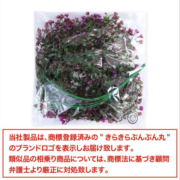 画像6: フェイクグリーン 造花 観葉植物 約80cm 【パープル&グリーン】 紫 緑 インテリア 雑貨 人工 水やり不要 ハンギング 吊り下げ きらきらぷんぷん丸 GRDN-009 (6)