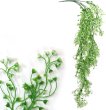 画像1: フェイクグリーン 造花 観葉植物 約80cm 【ホワイト】 白 インテリア 雑貨 人工 水やり不要 ハンギング 吊り下げ・壁掛けにも きらきらぷんぷん丸 GRDN-010 (1)