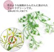 画像3: フェイクグリーン 造花 観葉植物 約80cm 【ホワイト】 白 インテリア 雑貨 人工 水やり不要 ハンギング 吊り下げ・壁掛けにも きらきらぷんぷん丸 GRDN-010 (3)