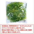 画像6: フェイクグリーン 造花 観葉植物 約80cm 【イエロー】 黄色 インテリア 雑貨 人工 水やり不要 ハンギング 吊り下げ・壁掛けにも きらきらぷんぷん丸 GRDN-011 (6)