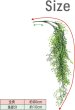 画像2: フェイクグリーン 造花 観葉植物 約80cm 【グリーン】 緑 インテリア 雑貨 人工 水やり不要 ハンギング 吊り下げ・壁掛けにも きらきらぷんぷん丸 GRDN-012 (2)