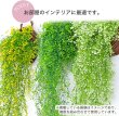 画像4: フェイクグリーン 造花 観葉植物 約80cm 【グリーン】 緑 インテリア 雑貨 人工 水やり不要 ハンギング 吊り下げ・壁掛けにも きらきらぷんぷん丸 GRDN-012 (4)